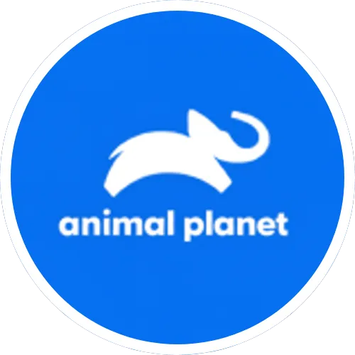 Animal Planet