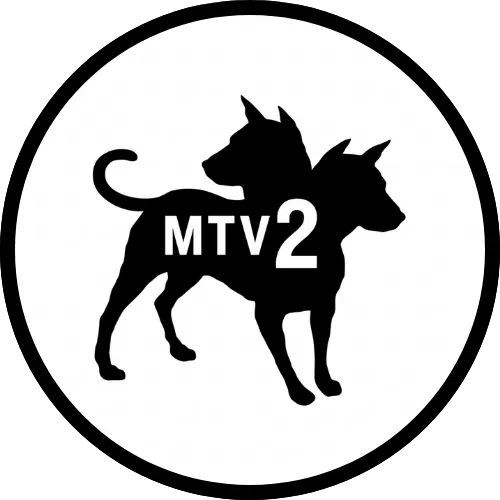 C-mtv2